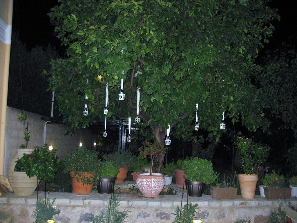 Nostos Hotel Galaxídhion Exteriör bild